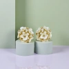 Pearl flower stud earrings, a fashionable and light luxury design, are exquisite and versatile for women Specification image
